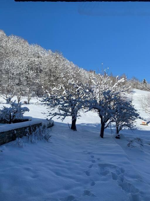 Meribel Chalet De Severine Les Allues エクステリア 写真